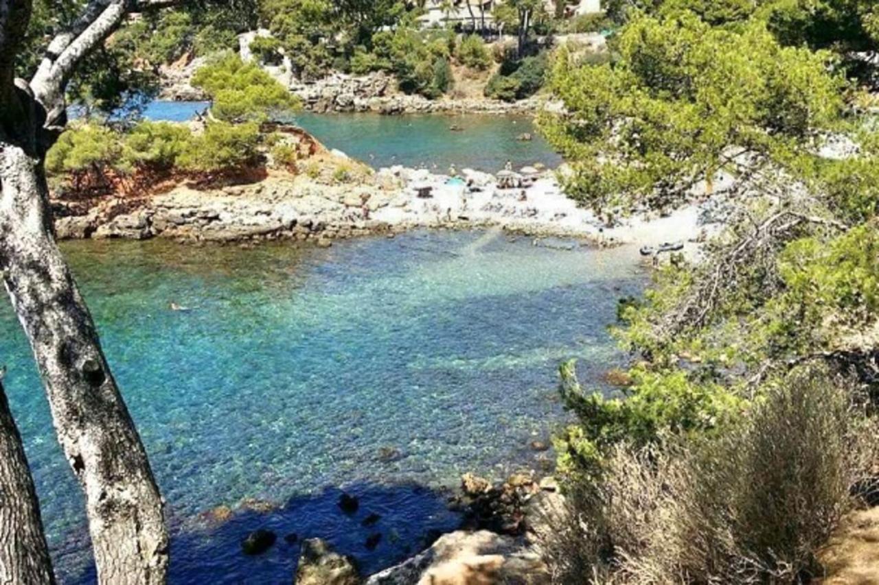 Spacious Sea View At 50m From The Bandol